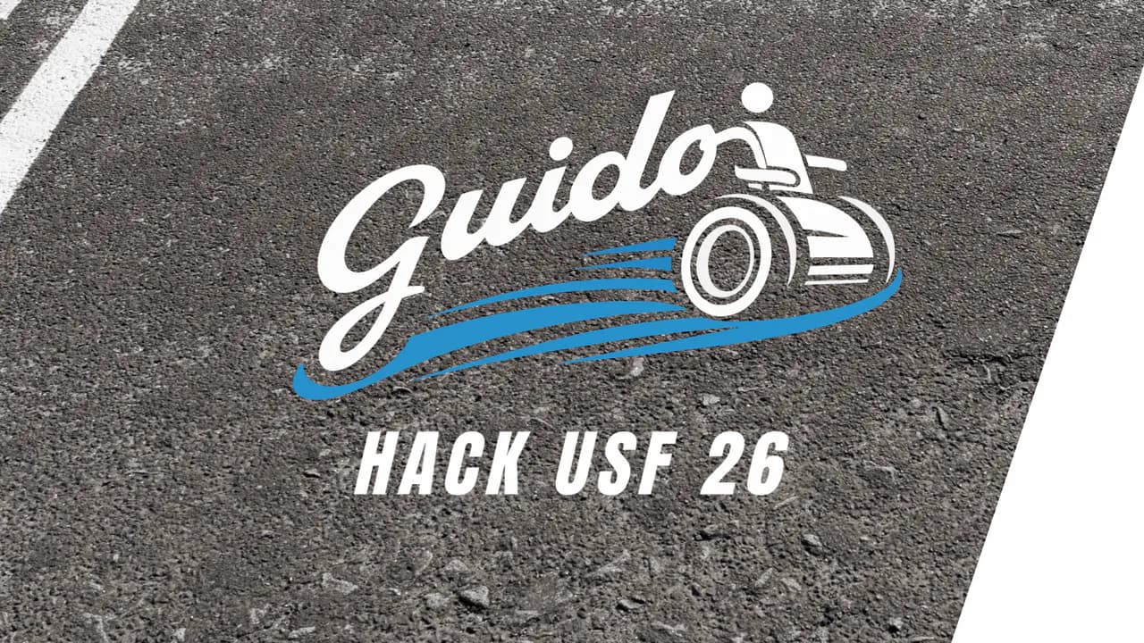 Guido project preview