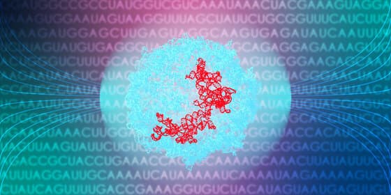 RNA 3D Folding Pipeline project preview